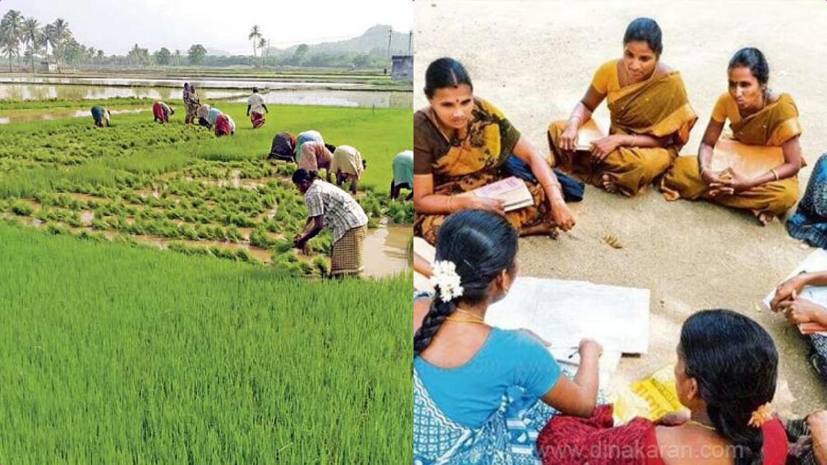 Conceptual collage showing a South Indian farmer, a female student with a backpack, and a group of women from a self-help group.