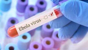 Global Health Alert: "விமான நிலையங்கள் உஷார்!" அச்சுறுத்தும் எபோலா வைரஸ்; இந்திய அரசு வெளியிட்ட புதிய அவசர பயண வழிகாட்டு நெறிமுறைகள்; முழு விவரம்! Specialized health security officials conducting thermal screening and reviewing medical clearance documents at an international airport terminal.