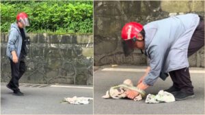 A close-up view of a calm individual using a protective piece of cloth to gently steer a snake away from open city traffic toward roadside vegetation.