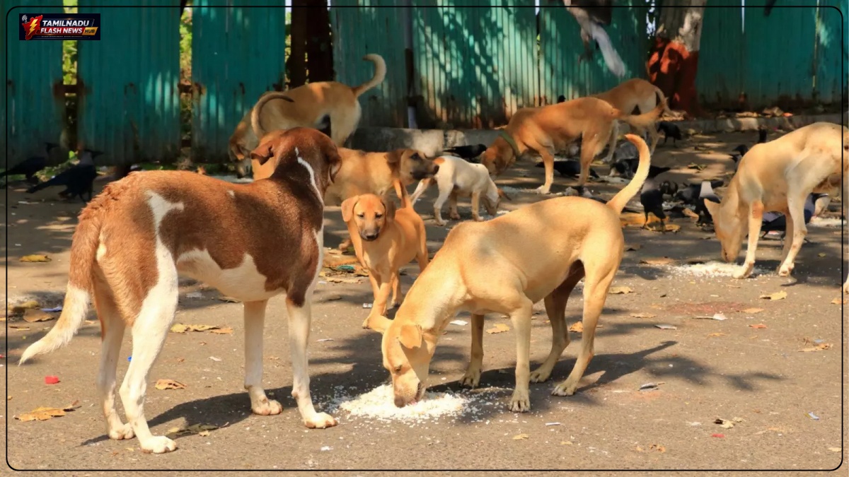 Representative illustration of the Kerala government's policy update on stray dog management.
