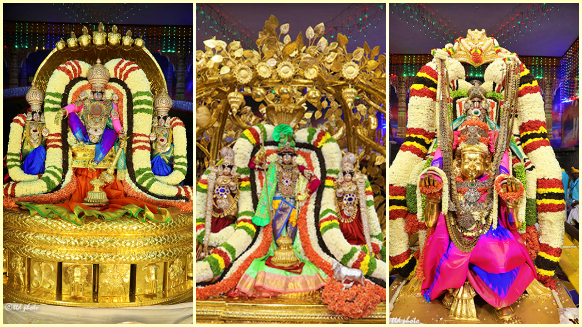 திருமலை ஸ்ரீவாரி பிரம்மோற்சவ வாகன சேவை நிகழ்வு.