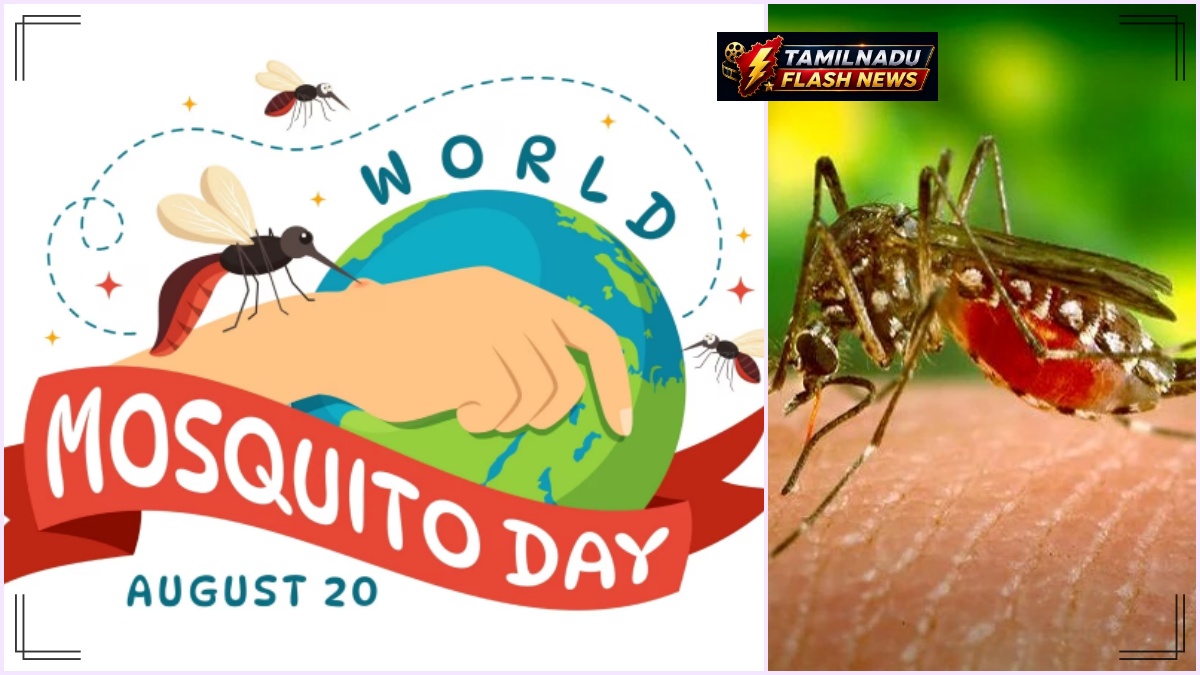 Public health news graphic illustrating World Mosquito Day history and prevention measures.