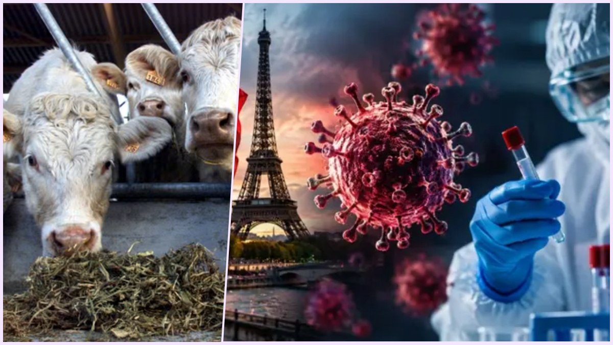 Conceptual editorial photograph representing virology research, medical surveillance, and international public health investigations.